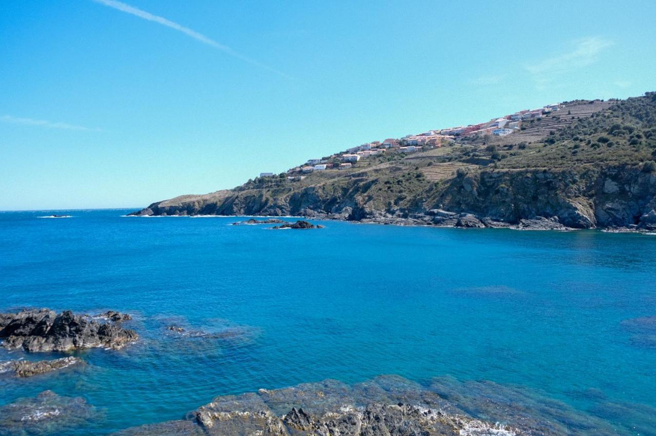 F3 En Bord De Mer Avec Piscine Cerbère Exteriér fotografie
